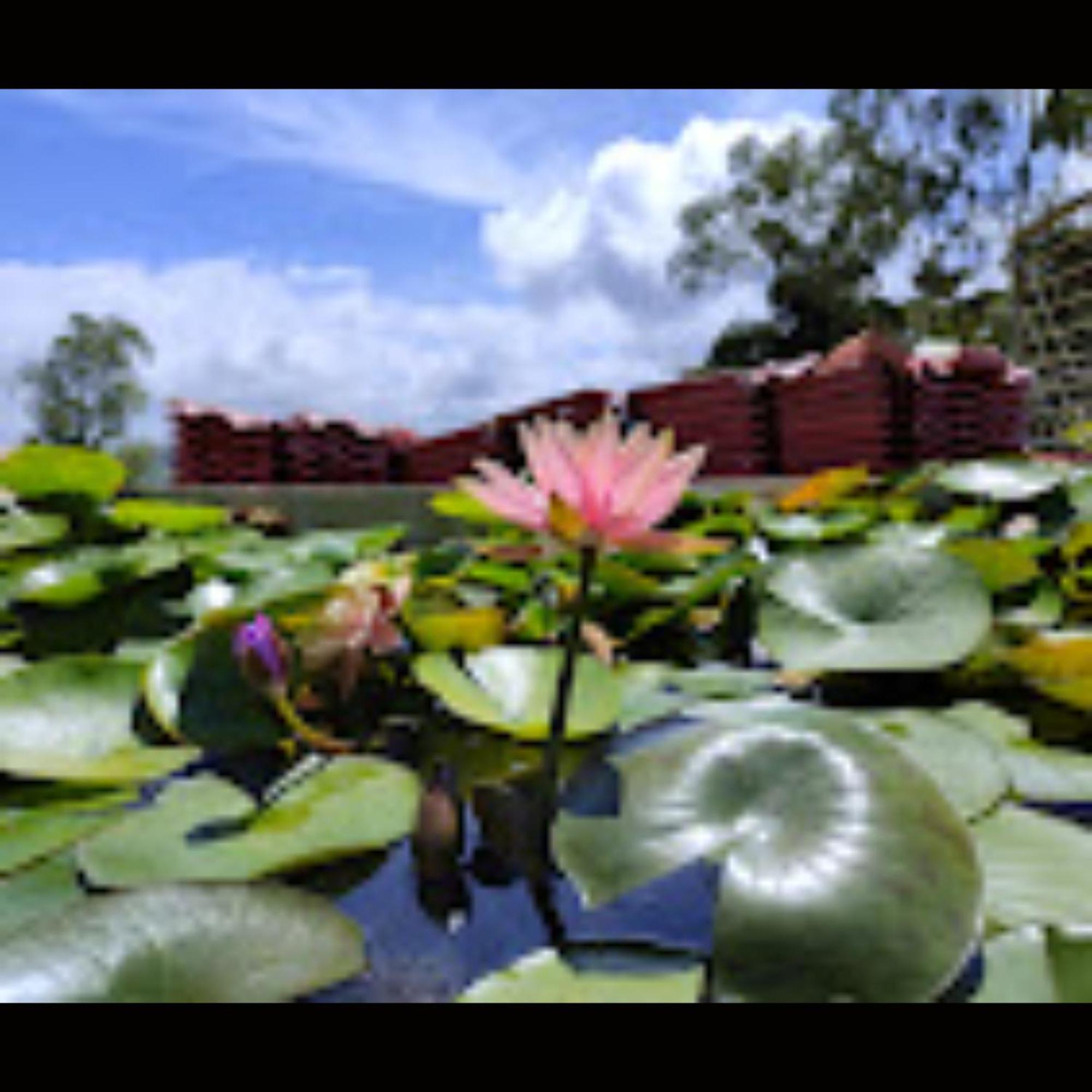 Strawberry County Hotel Panchgani Exterior foto